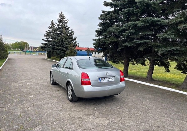 Nissan Primera cena 9900 przebieg: 87000, rok produkcji 2004 z Kobyłka małe 106